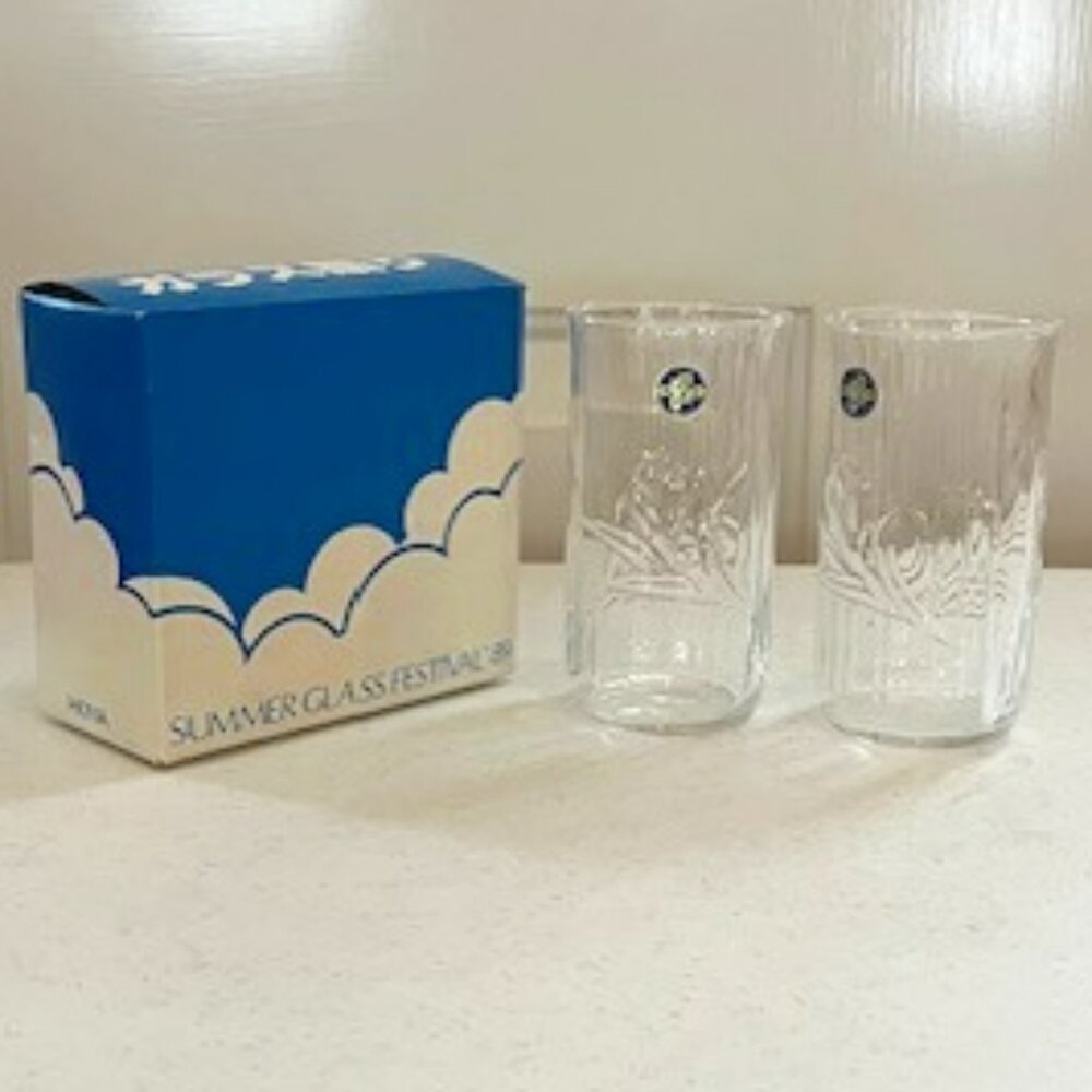 Hoya Set of 2 Glasses from the Summer Glass Festival in Japan (1989)